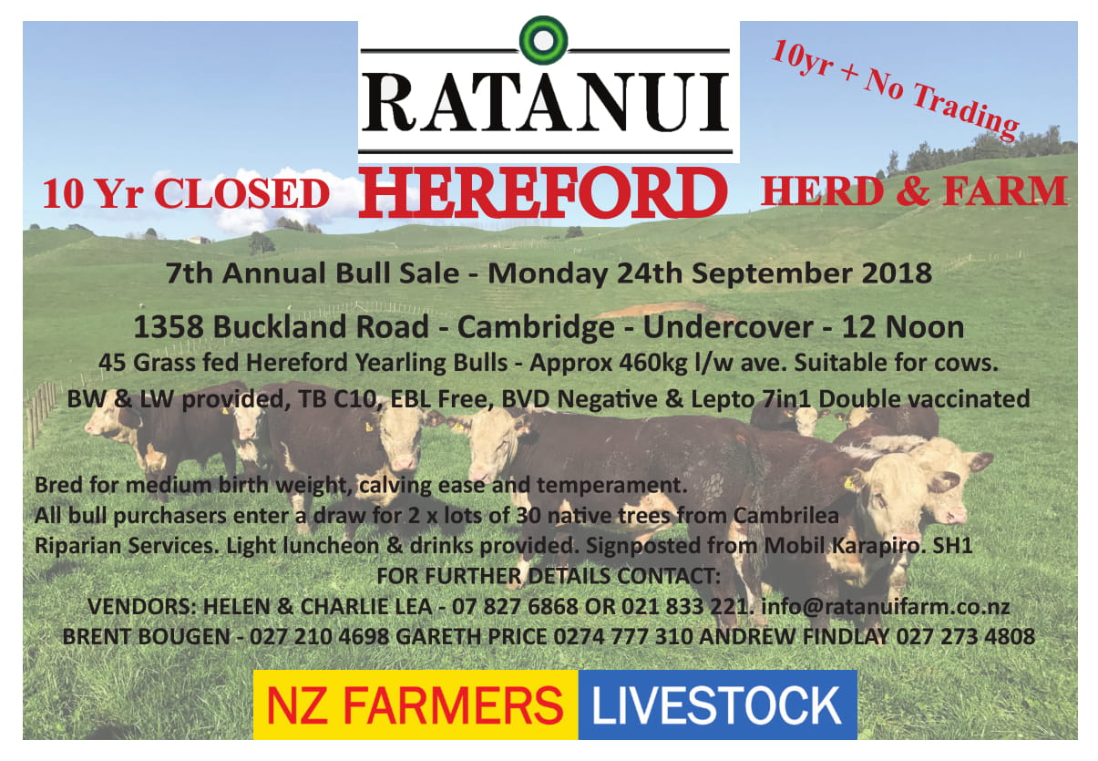 A close up of text on a white background

Description generated with high confidence